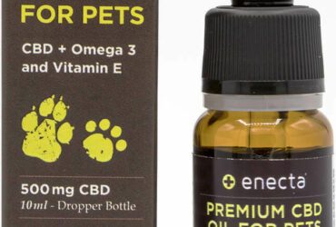 Enecta Premium CBD Oil For Pets Συμπλήρωμα Διατροφής Σκύλου Λάδι 500mg 10ml