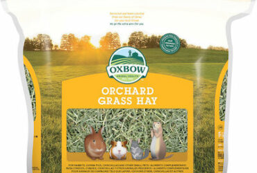 Oxbow Orchard Grass Hay 1130gr