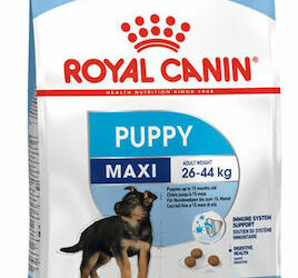 Royal Canin Maxi Puppy 15kg