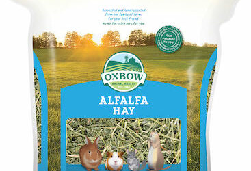 Oxbow Alfalfa Hay Χόρτο 425gr