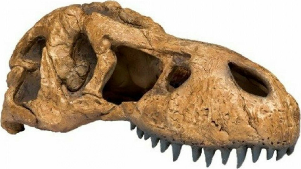 Exo Τerra T-Rex Skull