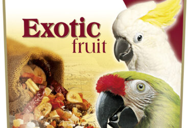 Versele Laga Exotic Fruit για Μεγάλους Παπαγάλους 0.6kg