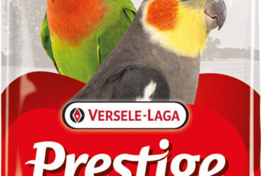 Versele Laga Prestige Big Parakeets Τροφή για Μεσαίους Παπαγάλους 1kg