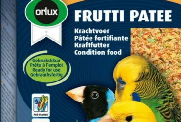 Versele Laga Orlux Frutti Patee Αυγοτροφή για Καναρίνια 0.25kg