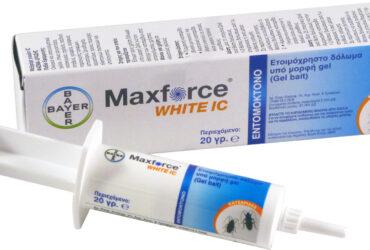 Maxforce White Gel 20gr Τζελ για Κατσαρίδες