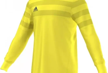 Goalkeeper jersey adidas ENTRY 15 GK Junior AP0324