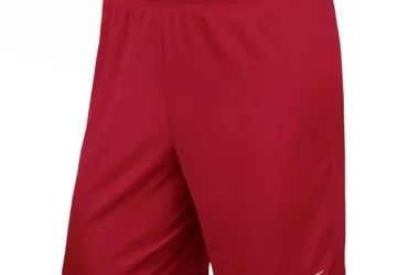 Nike PARK II M 725887-657 Football Shorts