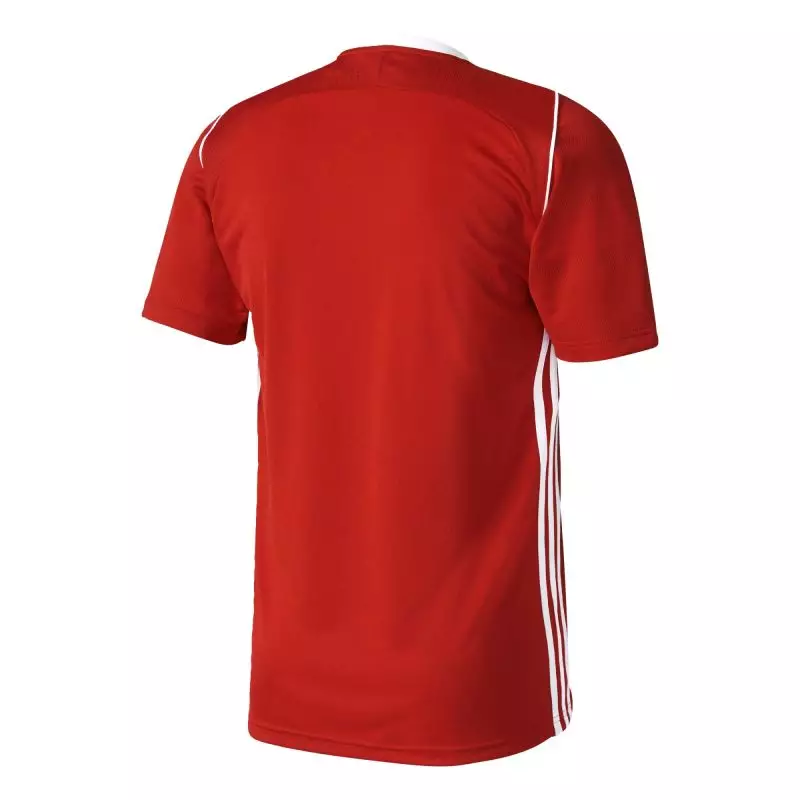 Adidas Tiro 17 M S99146 football jersey