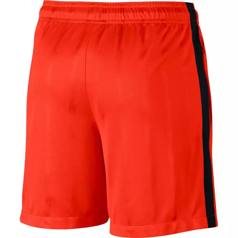 Nike Dry Squad Jacquard Junior 870121-852 football shorts