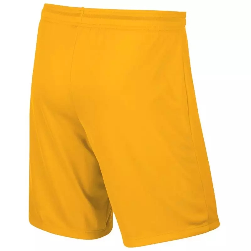 Nike Park II Junior 725988-739 Football Shorts