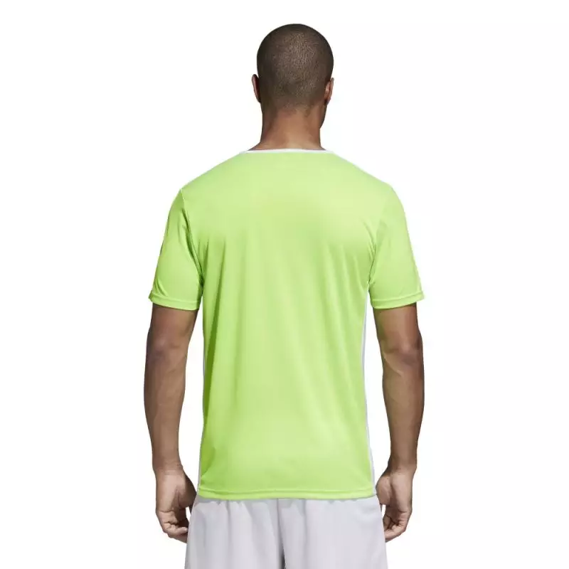 Adidas Entrada 18 CE9758 football jersey