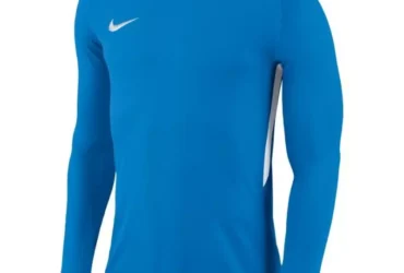 Goalkeeper jersey Nike Dry Park III LS M 894509-406