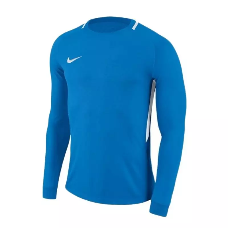 Goalkeeper jersey Nike Dry Park III LS Junior 894516-406