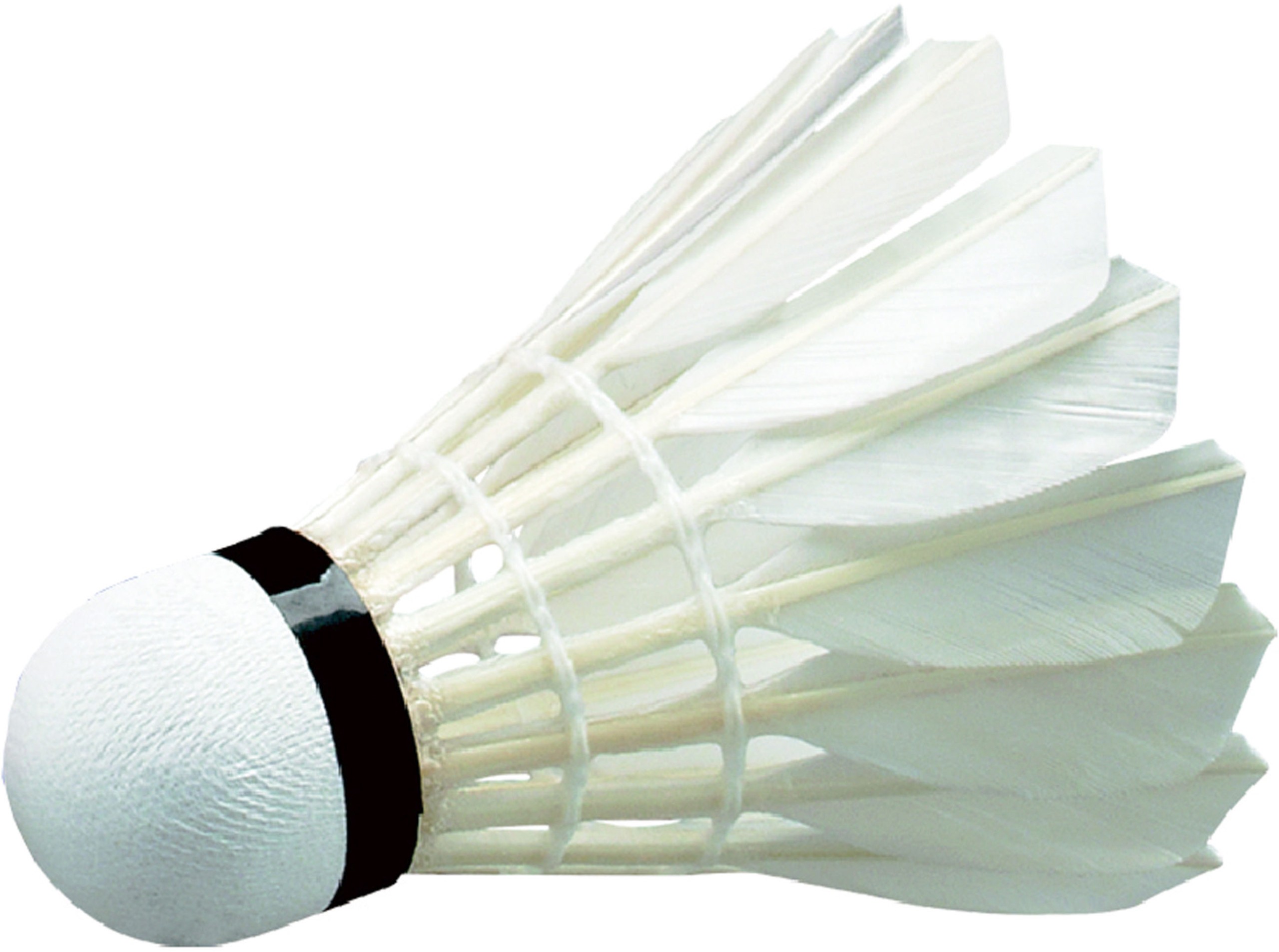 Μπαλάκια Badminton ΕΠΙΠΕΔΟΥ ΑΓΩΝΩΝ Wish (12 τμχ)