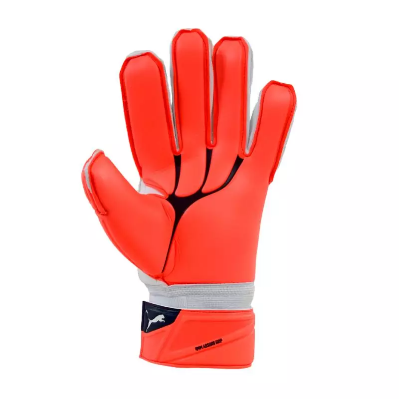 Goalkeeper Gloves Puma Evo Power Super M 41022 31