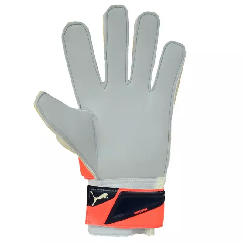 Puma Evo Power Grip 2 Aqua 41145 30 Goalkeeper gloves