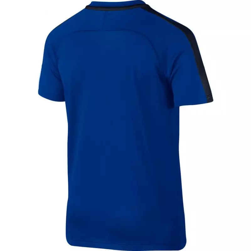 Nike Dry Academy 17 Junior 832969-405 football jersey