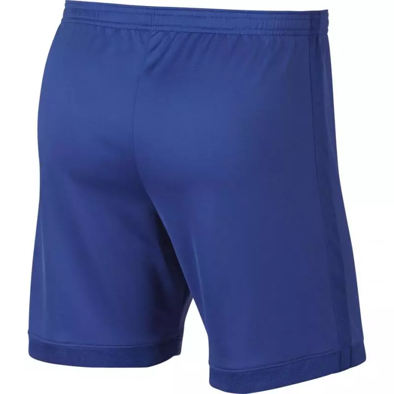 Nike Dry Academy M AJ9994-480 football shorts