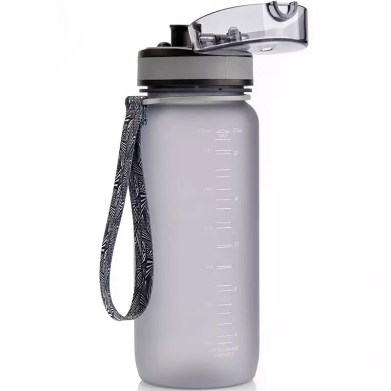 Meteor 650 ml 74576 water bottle