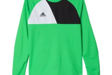 Adidas Assita 17 Jr AZ5406 sweatshirt