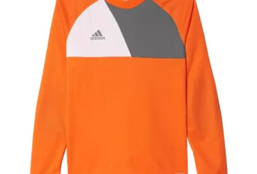 Adidas Assita 17 Jr AZ5402 sweatshirt