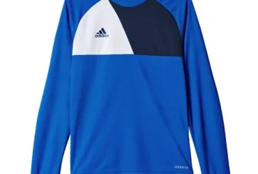 Adidas Assita 17 Jr AZ5404 sweatshirt