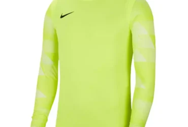 Nike Dry Park IV M CJ6066-702 sweatshirt