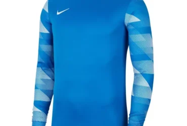 Nike Dry Park IV M CJ6066-463 sweatshirt