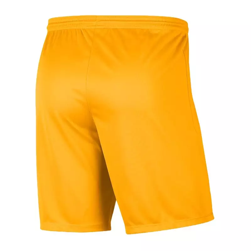 Nike Dry Park III M BV6855-739 shorts