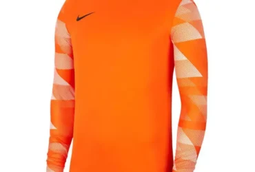 Nike Dry Park IV M CJ6066-819 sweatshirt