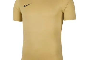 T-Shirt Nike Dry Park VII JSY SS M BV6708 729