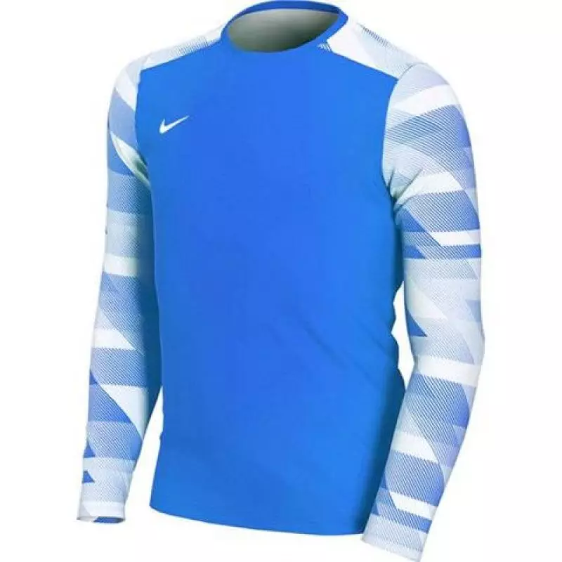 Goalkeeper jersey Nike Dry Park IV JSY LS JR CJ6072-463