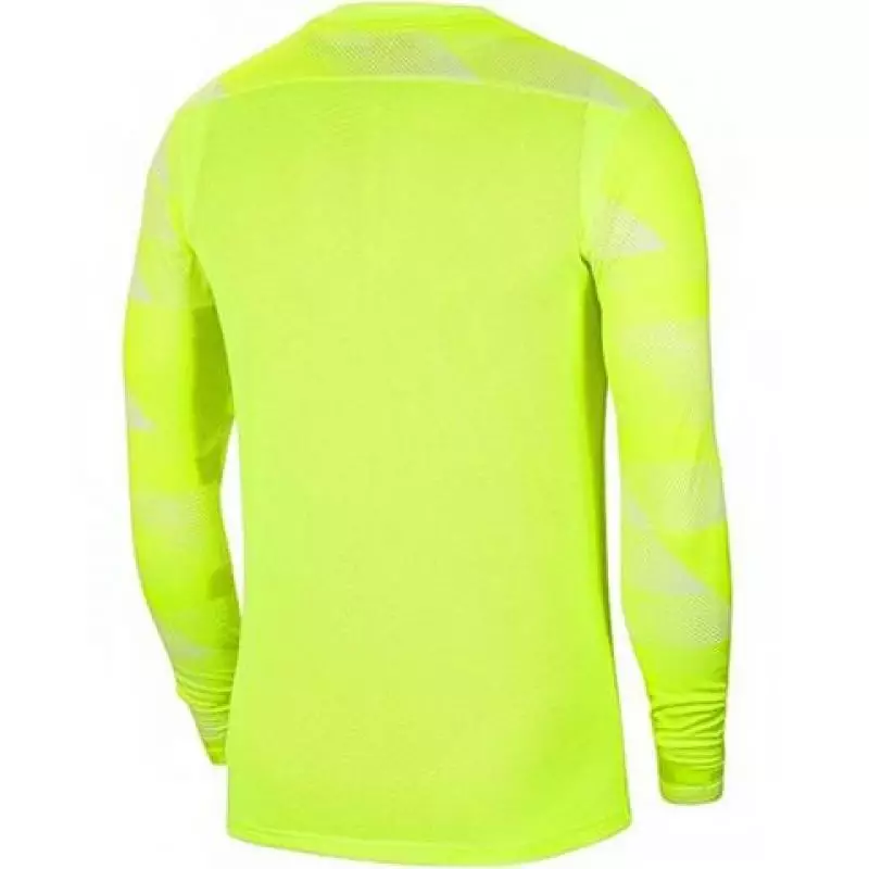 Nike Dry Park IV JSY LS GK JR CJ6072-702 goalkeeper jersey