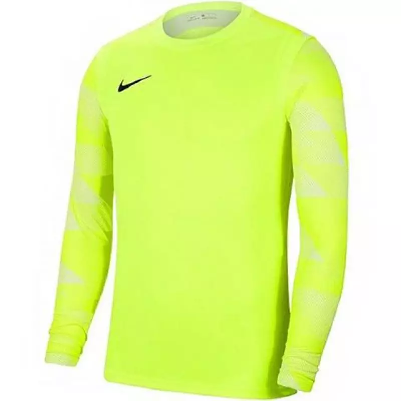 Nike Dry Park IV JSY LS GK JR CJ6072-702 goalkeeper jersey