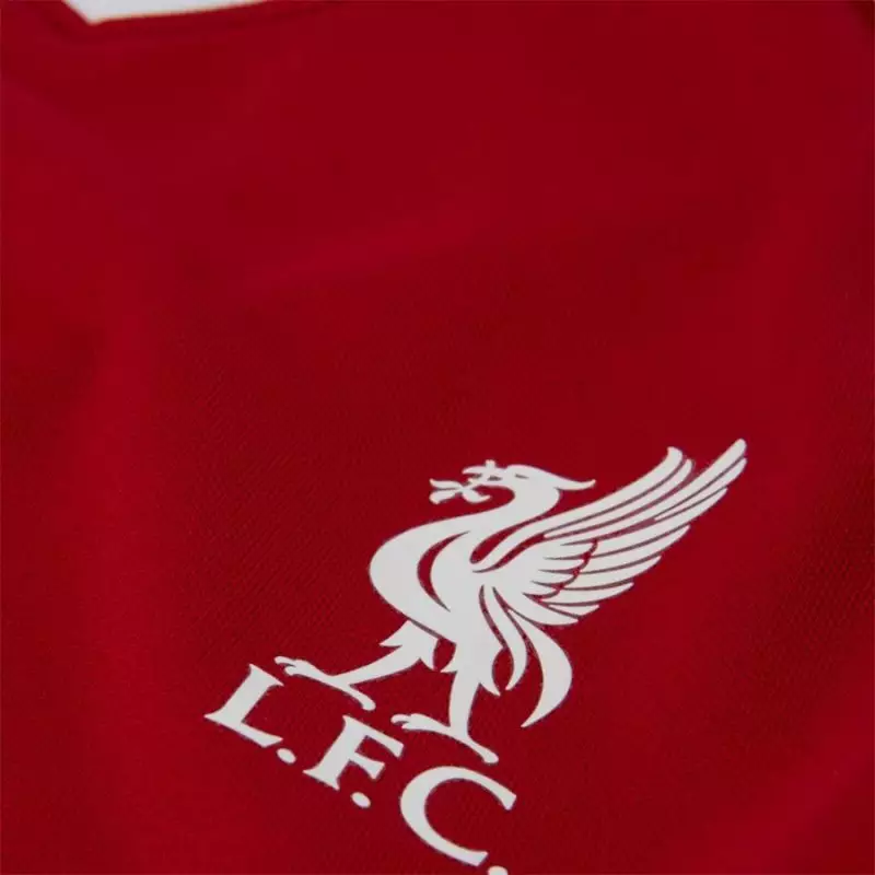 Nike Liverpool FC Home Jr CZ2653 687 football set