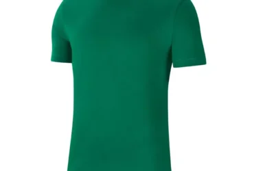 Nike Park 20 M T-shirt CZ0881-302