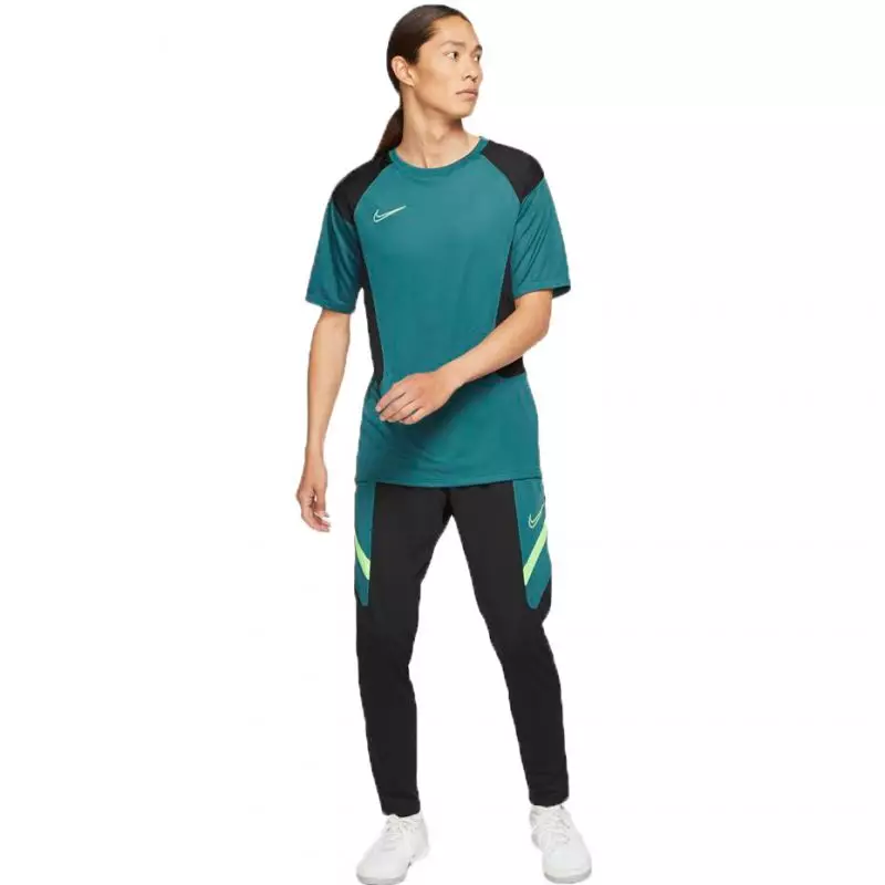 Nike Dri-FIT Academy M CT2491-015 Pants