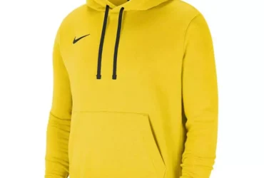 Nike Park 20 Hoodie Sweatshirt W CW6957-719