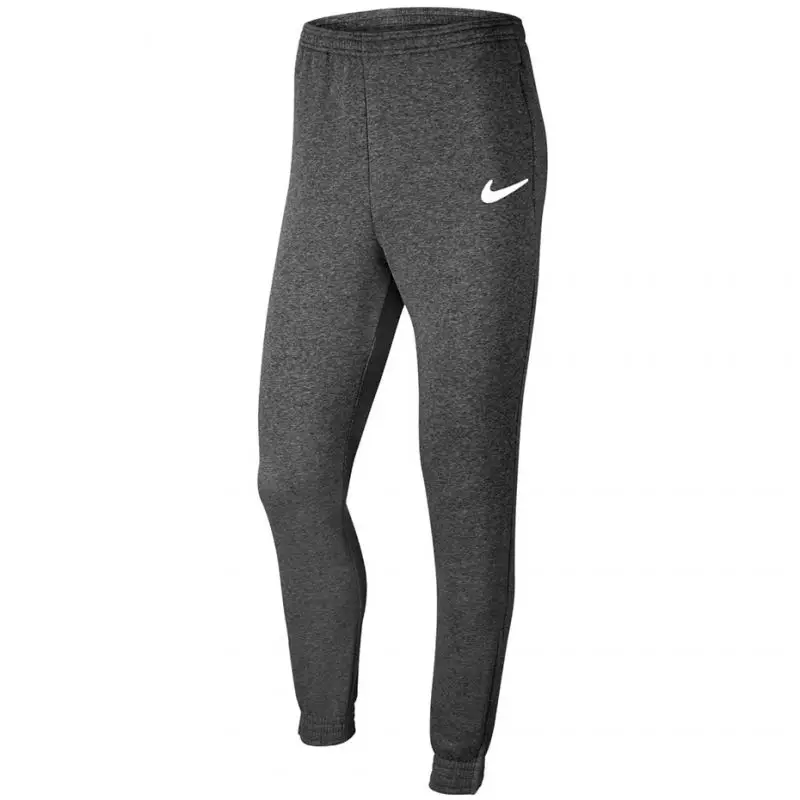 Nike Park 20 Fleece Jr CW6909 071 pants