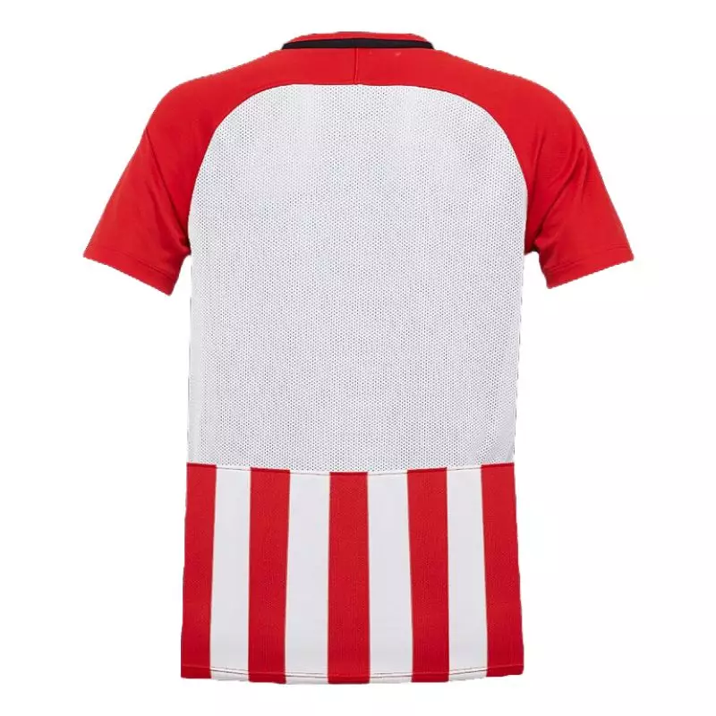 Nike Striped Division Jr 894102-658 football shirt