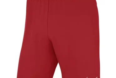 Nike Laser IV Jr AJ1261-657 shorts