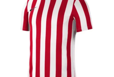 Nike Striped Division IV M CW3813-104 football shirt
