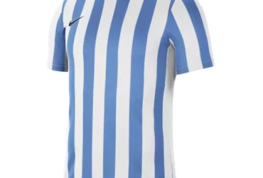 Nike Striped Division IV M CW3813-103 football shirt
