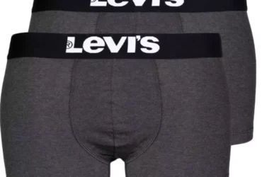 Levi's Trunk 2 Pairs Briefs 37149-0408 Underwear