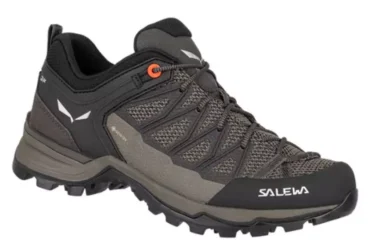 Salewa Mtn Trainer Lite GTX W 61362-7517 trekking shoes