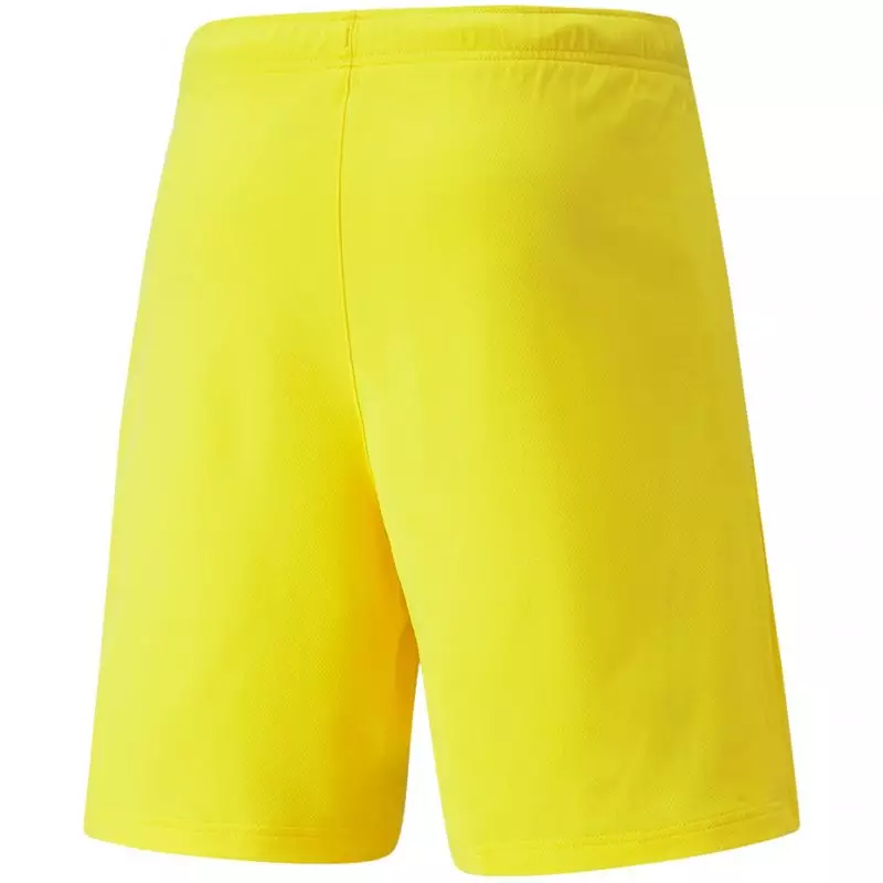 Puma teamRISE Cyber M 704942 07 shorts