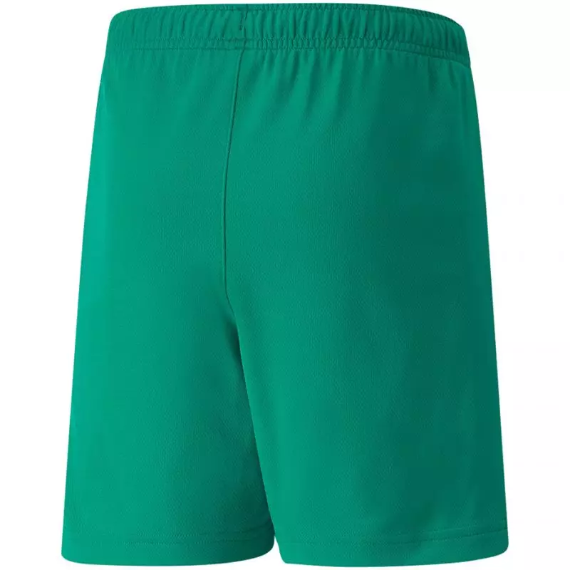 Puma teamRISE Short Jr 704943 05