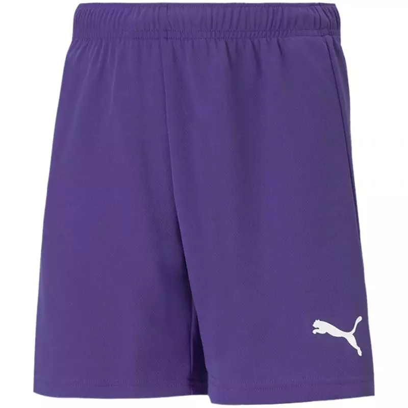 Puma teamRise Short Jr 704943 10