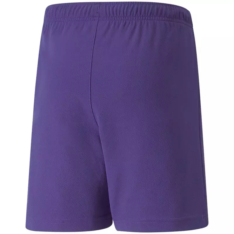 Puma teamRise Short Jr 704943 10