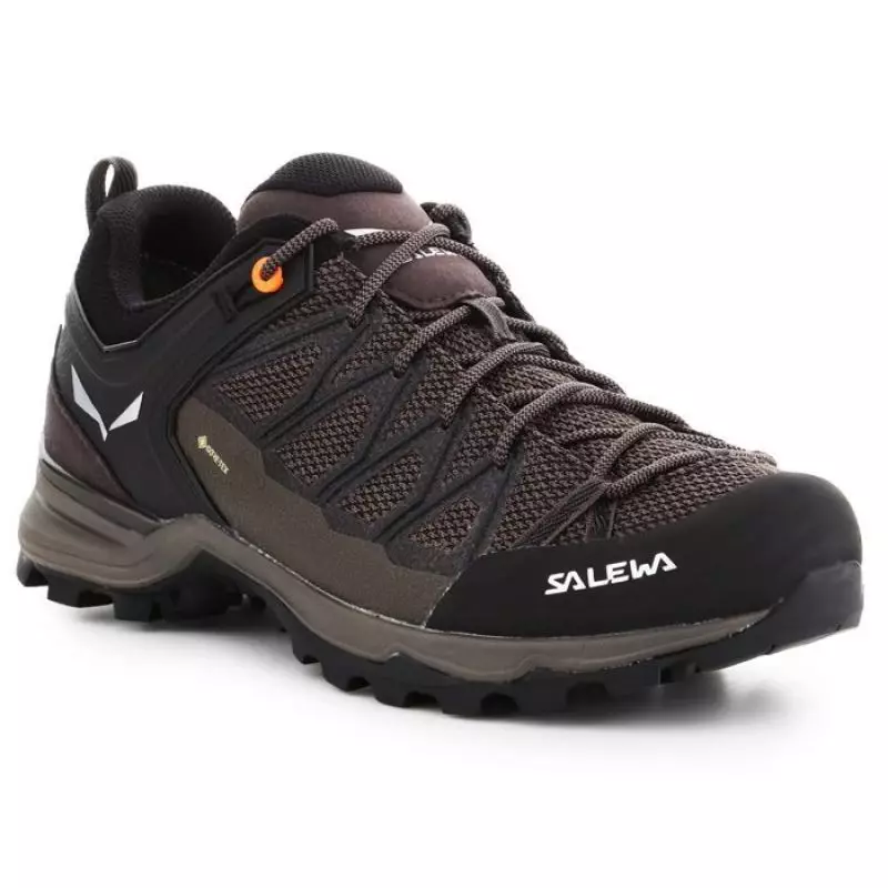 Salewa Mtn Trainer Lite GTX M 61361-7512 trekking shoes